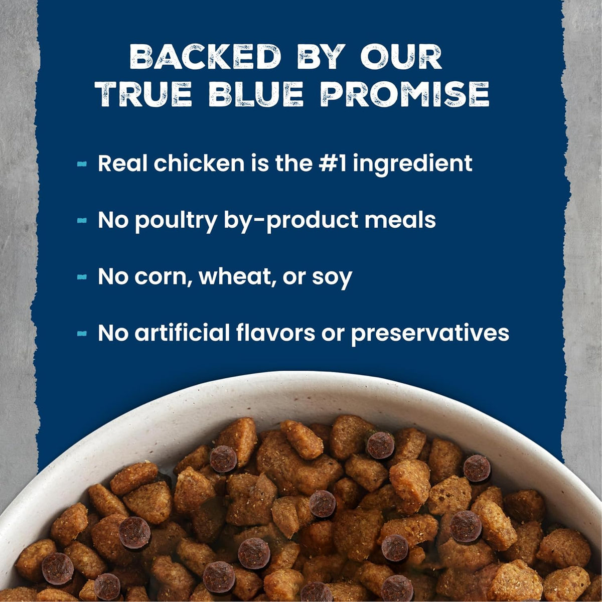 Wilderness Chicken & Wholesome Grains Adult Dry Dog Food 4.5Lb | 39G Protein, Real Chicken #1 Ingredient, Antioxidant-Rich Fruits & Veggies, High Protein to Fuel Adventures