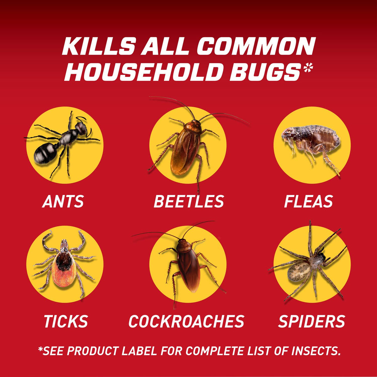 Ortho Home Defense Insect Killer for Indoor & Perimeter2, Wand, 1.33 gal.