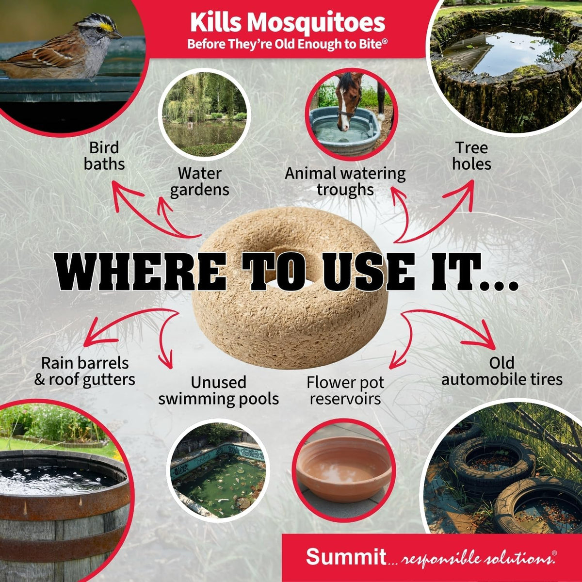 Summit Mosquito Dunks Standing Water Treatment – Organic BTI Mosquito Larvae Killer for Birdbaths, Ponds & Rain Gutters (Non-Toxic to Pets & Wildlife).